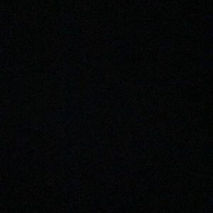 Meet your Posher, Iiona